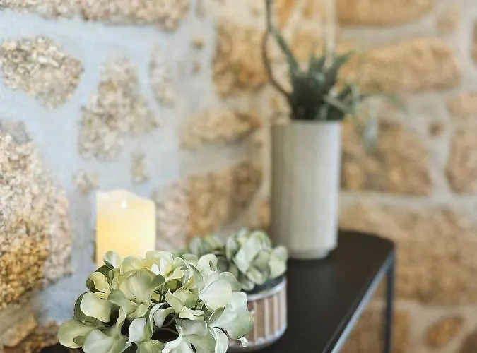 カントリーハウス Alto Do Ferrum - Boutique コビリャン